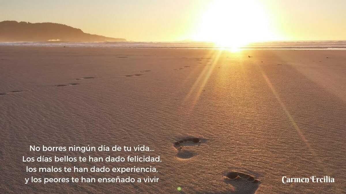 Emprender no es fácil, pero merece la pena